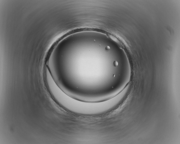 X0000112041077200908101356