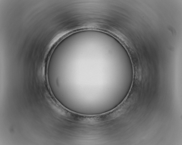 X0000112041078200908101356