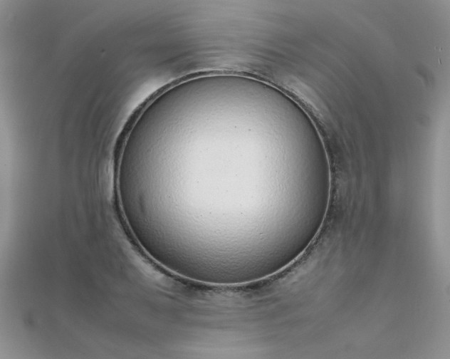 X0000112041079200908101356
