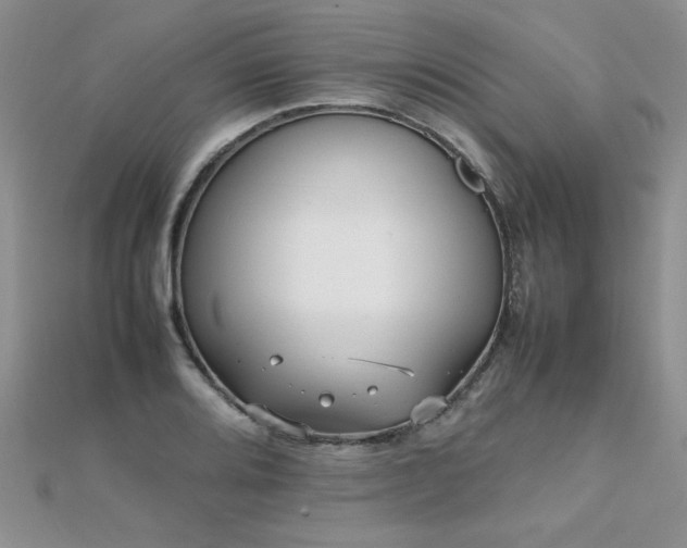 X0000112041080200908101356