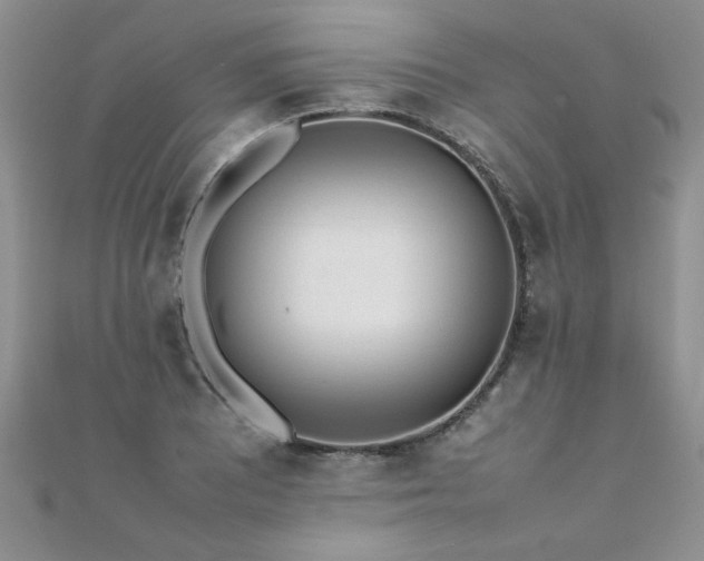 X0000112041081200908101356