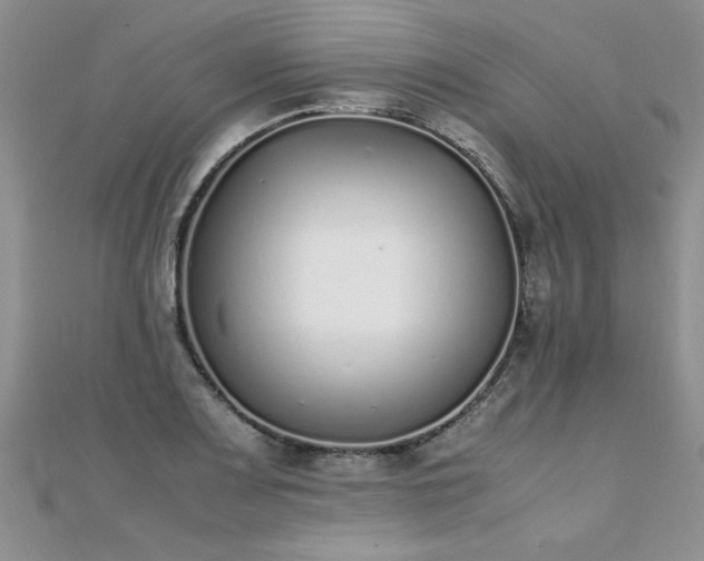 X0000112041083200908101356