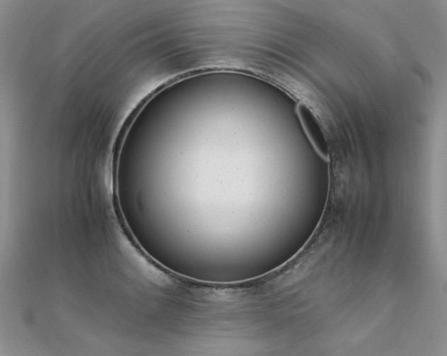 X0000112041084200908101356