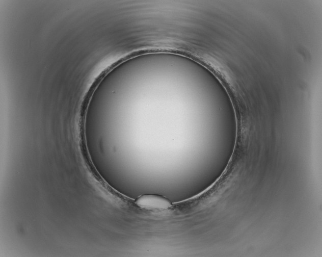 X0000112041085200908101356
