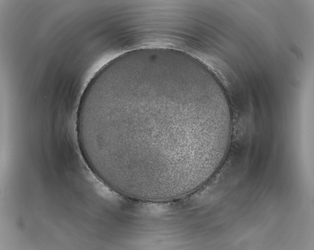 X0000112041086200908101356