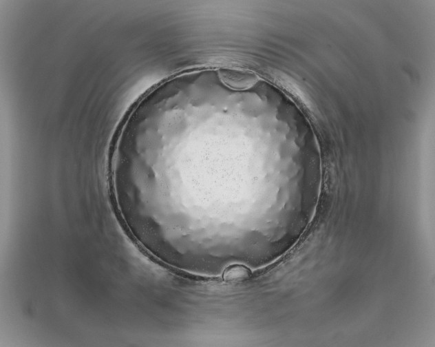 X0000112041087200908101356