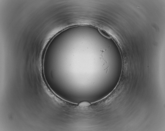 X0000112041088200908101356