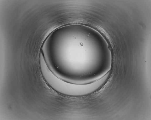 X0000112041089200908101356