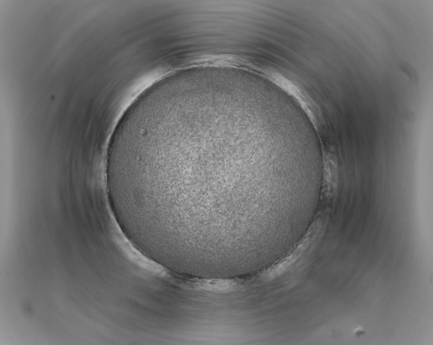 X0000112041090200908101356