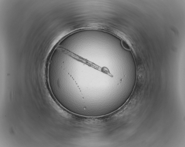 X0000112041091200908101356
