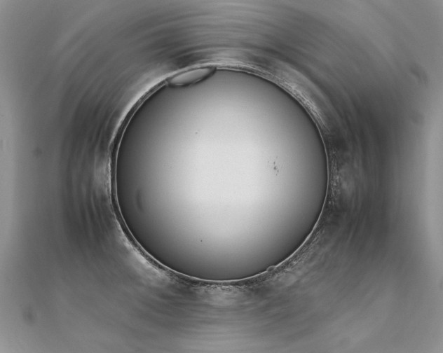 X0000112041092200908101356