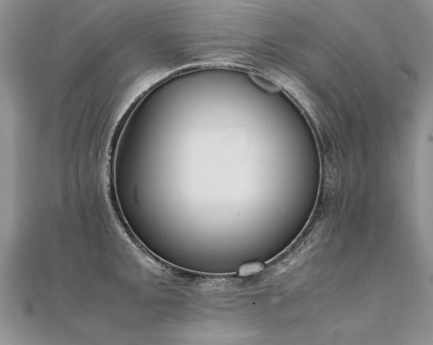 X0000112041093200908101356