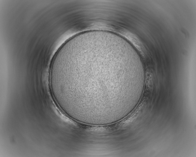 X0000112041094200908101356