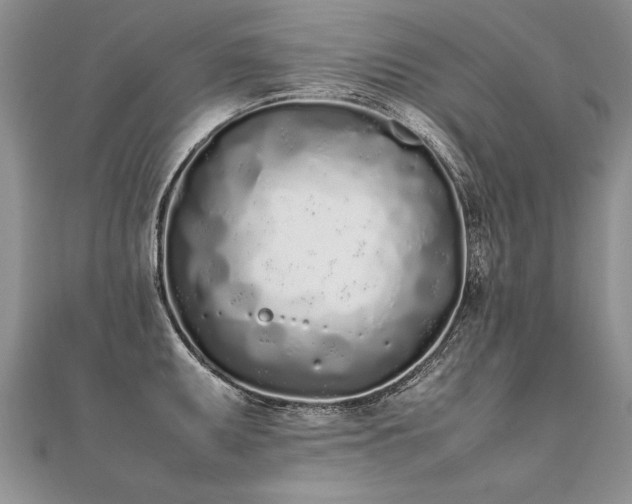 X0000112041095200908101356