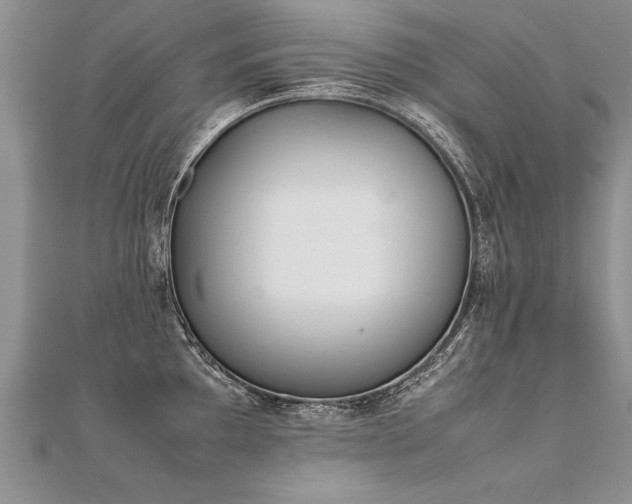 X0000112041097200908101356