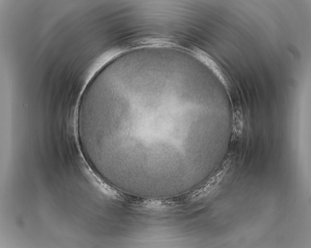 X0000112041098200908101356