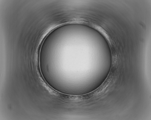 X0000112041099200908101356