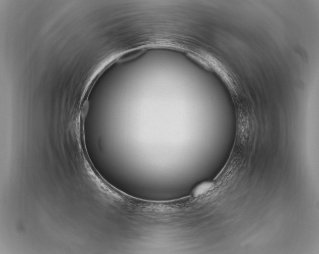 X0000112041100200908101356