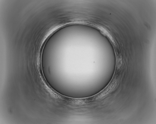 X0000112041101200908101356