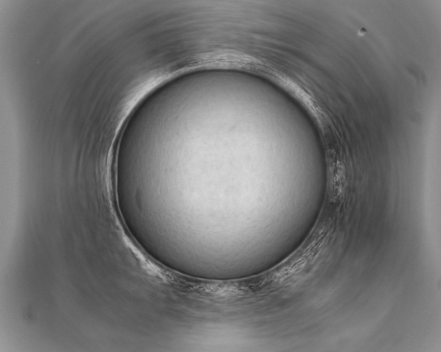 X0000112041103200908101356