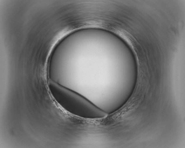 X0000112041104200908101356