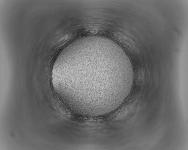 X0000112041105200908101355