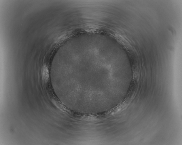 X0000112041106200908101355