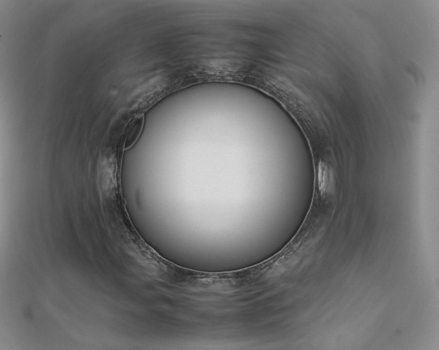X0000112041107200908101355
