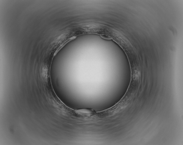 X0000112041108200908101355