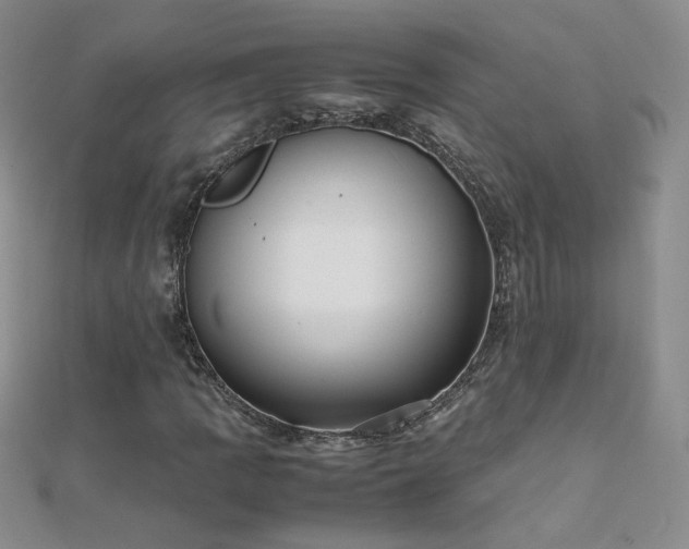 X0000112041109200908101355