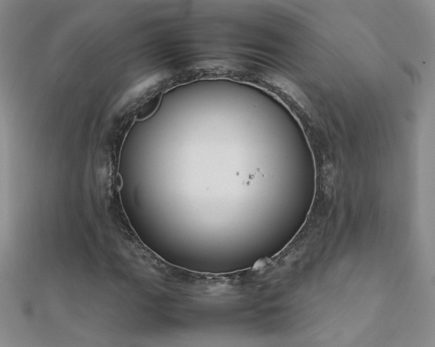 X0000112041111200908101355