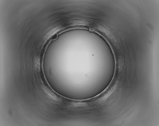 X0000112041113200908101355