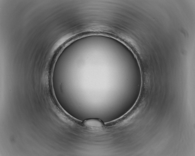 X0000112041114200908101355