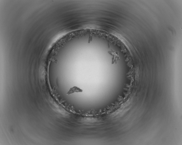 X0000112041115200908101355