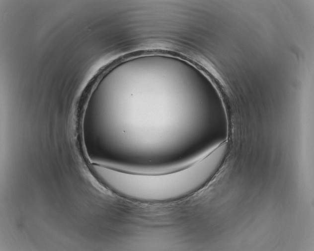 X0000112041116200908101355