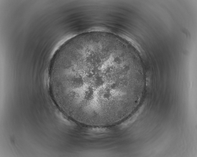 X0000112041117200908101355