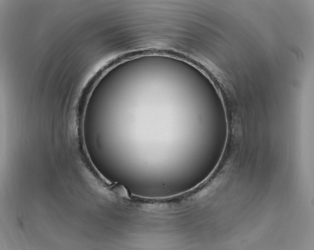 X0000112041118200908101355