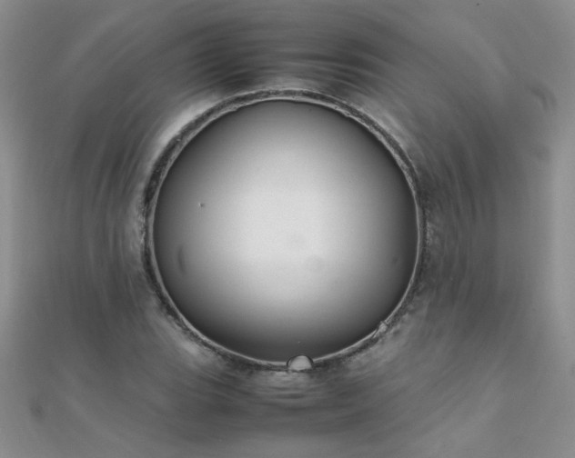 X0000112041119200908101355