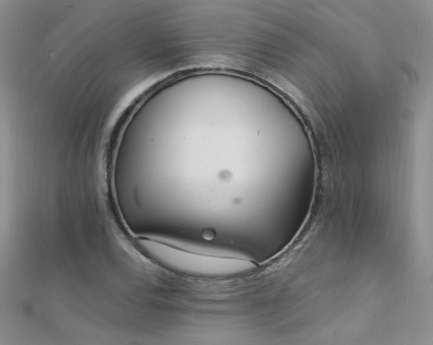 X0000112041120200908101355