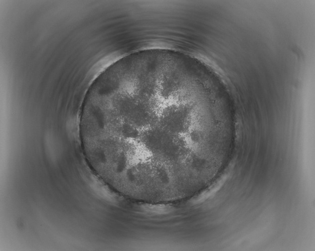 X0000112041121200908101355