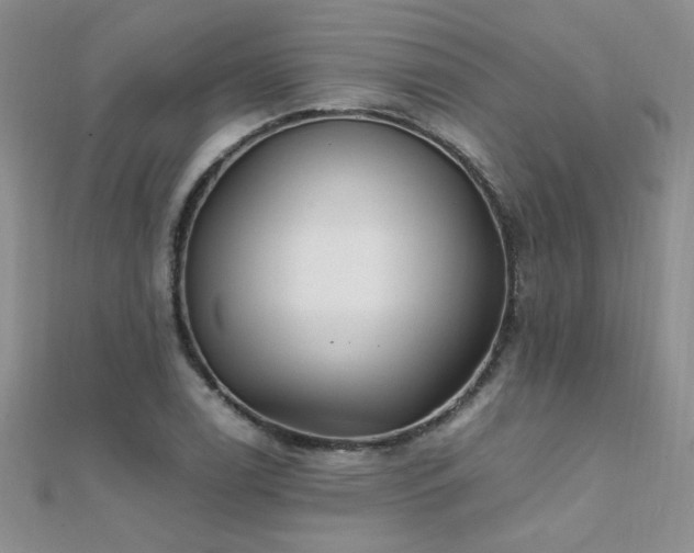 X0000112041122200908101355
