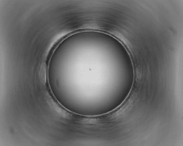 X0000112041123200908101355