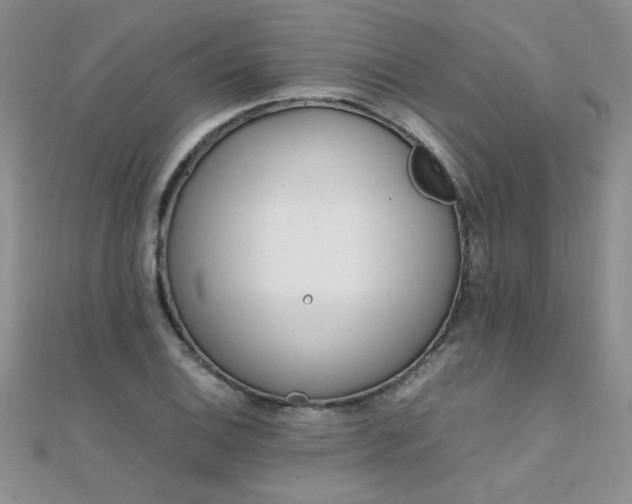 X0000112041124200908101355