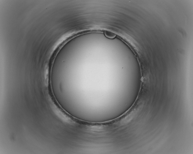 X0000112041126200908101355
