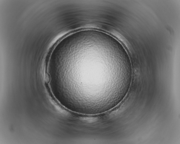 X0000112041127200908101355