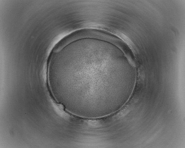 X0000112041128200908101355