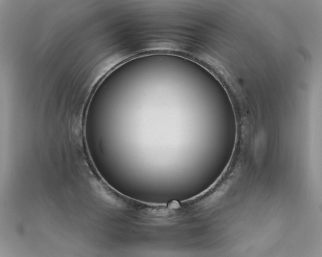 X0000112041129200908101355