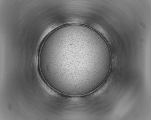 X0000112041130200908101355