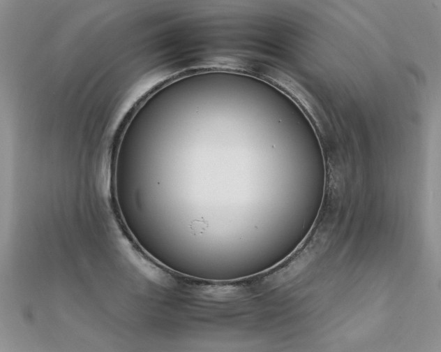 X0000112041131200908101355