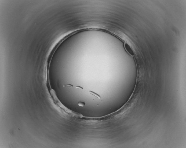 X0000112041132200908101355